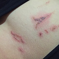 谁信呢不认识的女人抓的可能吗，为什么不去抓别人，我回来问他还跟我发火，这日子怎么再继续下去，结婚...