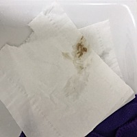 我11.14号末次月经，30号同房，到今天为止还没来月经，我早晨测早孕试纸为阴性，刚才去厕所有类似褐色的...