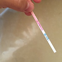 没有排卵期怎么办啊，上个月一个月都没有排卵，等着等着就等到大姨妈来了，今天是大姨妈走后10天左右了...