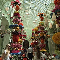 怀孕6个月了，短途旅行还是可以的🤗😘