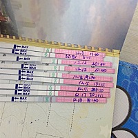 12月4号排卵，19号月经没有来，排卵试纸如下图！到底怎么回事？还有希望吗