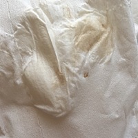 我是上个月十七号来完事的。这个月8没用安全措施到现在都还没来事那。这两天还淌这个色的东西。请问是怎...