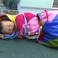 接健康女宝5⃣️斤八两