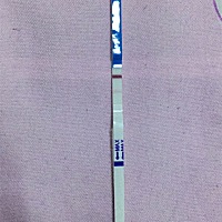 12月24应该来例假，前三天就是21号试纸测有孕，22号号脉说小小子，一直到今天我都喜欢吃辣的也不孕吐不...