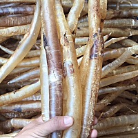 长期吃鱼胶，可以滋润皮肤、增强皮肤弹性、减少皮肤皱纹和防止皮肤衰老； 可帮助消除疲劳，舒缓精神压力...