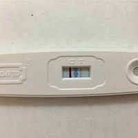 晕死，我是11-16最后一次月经。连续两天（12-25/12-26）测出来的结果都是弱阳性。今天早上有点褐色的分...