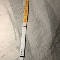 昨天和今天的上午测试都是一条很浅很浅的线 还有一条很深的红线 我是怀上了吗