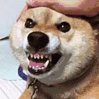 完蛋玩意儿，一直白板，现在肚子里满是大姨妈要来的赶脚，屋里小宝贝你啥时候来啊！