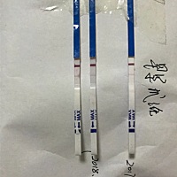 2017年，11月24号，末次月经，在12月27号测的早孕试纸，基本确定怀孕，颜色特别忒别淡，因为没有保留试...