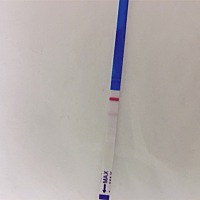 6号姨妈今天5号这两天测的都是弱阳，会不会成功怀呢？