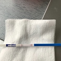 这是有还是没有