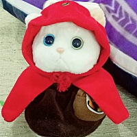 从怀孕到现在，做了两次生孩子了生的男孩子，昨晚又做了一次生了，不过生的女孩，老公前几天说他也梦到...