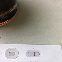 上个月12月9号月经，今天测得验孕结果，希望好孕