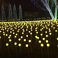 好焦躁啊。备孕四个月都没中。本来昨天来月经没来。测的都是白板板。 今天要再测么