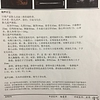 这是头胎，单子出来医生下班了，我看不懂，看懂的宝妈们能告诉我下，宝宝健康吗。头胎，比较紧张。