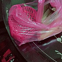 前几天儿子脸色发黄，流鼻血，发烧咳嗽在家休息了一个星期，昨天幼儿园园长带了水果亲自来家里慰问。在...