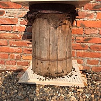 自家土蜂蜜只过滤，不经过加温，不添加香料，纯天然，不掺假。 有需要的亲们可以联系，一年只卖一次枇杷...