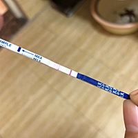 用晨尿试怀没怀孕 第一次是两道杠 然后我觉得不放心 又用了一根试条就是一道杠 又试了第三根也是一道杠 ...