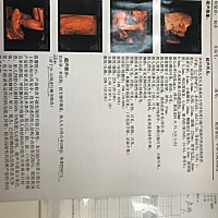 哪位会看男女呀，可以帮我看下是男宝宝还是女宝宝吗🤣第一胎，略激动