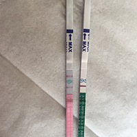 末次20号～排卵日3号～排卵试纸能测出两杠～还挺明显的～可是zzy白的不能再白了～