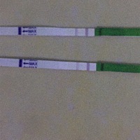 上面是昨天晚上测的，下面是今天晚上测的，昨天晚上同房，倒立20分钟会不会中标啊？