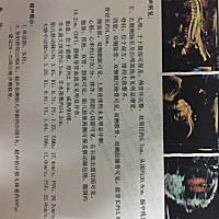 大家帮忙看看男女，马上要生了纯属好奇