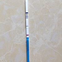 有谁可以帮我看看，我也知道现在测试太早，但是抱着试一试的态度，测试了一下，出现这种情况，有点不懂...