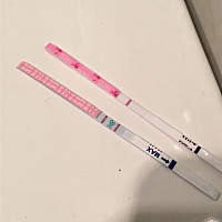 小便的时候装了两个小塑料杯，用了秀儿和大卫排卵试纸一起测，结果差了十万八千里，我也是醉了，为什么...