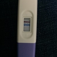 请问一下，这个是有还是没有啊