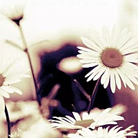 2018年1月18日23点50生下宝贝(✖╹◡╹✖)♡  儿子  老公辛苦了一夜