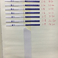 是要开始排卵了吗？两条杠了。