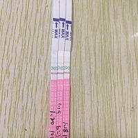 三天后是月经日。最近几天用plsz测都是这样的。zzy是白板。是不是没戏了。