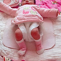 被狗吃了的图，被踢掉的袜子😂😂😂-_-||