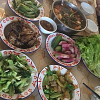 医生说少吃多餐，要控制食量。可是一天天的诱惑太大了。