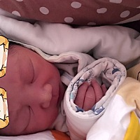 小家伙提前来到了我身边，