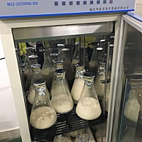 祖传手工无添加月子米酒 发奶下奶酒酿