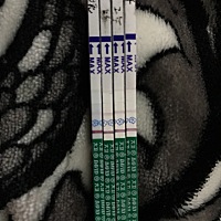 有没有做试管婴儿的。试纸的颜色越来越浅，本来之前孕酮就不高然后大出血降到了3点几，后来又升到了25点...