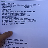 亲们，这个是四维彩超的图片，能看出男女吗？谁能看懂最后一张照片是照哪个地方的？