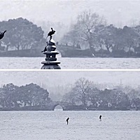 刚结完婚。想生个小金🐷，备孕中？有什么需要注意的？