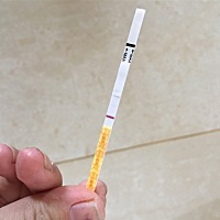 大家帮我看看，这是怀孕初期吗