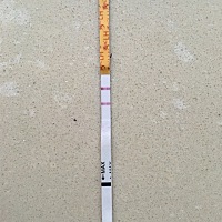 11月生化的，12月底彻底干净，最近腰酸，肚子也胀，偶尔会打嗝酸水，图为早上和现在的排卵试纸，求助宝...