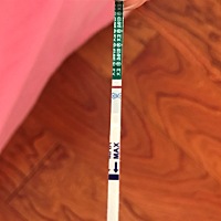 有没有末次月经1.12开始的？现在能测出怀孕吗？HCG深深的一道杠，这个月是不是又没希望了。。。