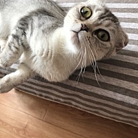 大姨妈一个月提前，一个月推后的，一点儿都不正常，每次快来大姨妈前都是各种焦灼……