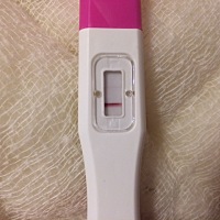 这是怀了还是没怀啊