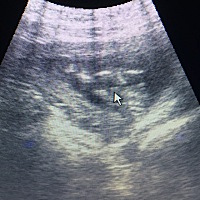 你们能看出男孩女孩吗？大神指点拜托了🙏