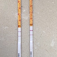 11生化后，hcg下降缓慢，1月初吃生化颗粒化后一周复查恢复正常，那我月经该怎么算啊，但是排卵试纸已经...