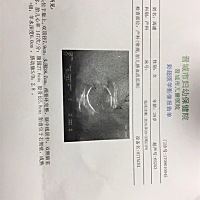 圈里有没有专业人士或会看的帮帮忙看看男孩女孩啊