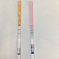 11月生化，到1月初吃了生化颗粒彻底干净，都不知道姨妈什么时候来，排卵试纸连续两周红色双杠了，最近一...