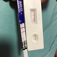 这个是有了吗？