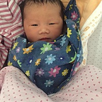 一个月20天胖一半